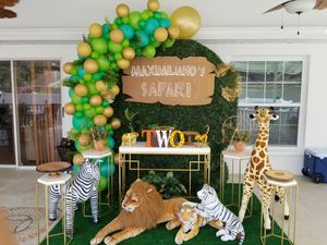New And Used Party Decorations For Sale In Plant City Fl Offerup