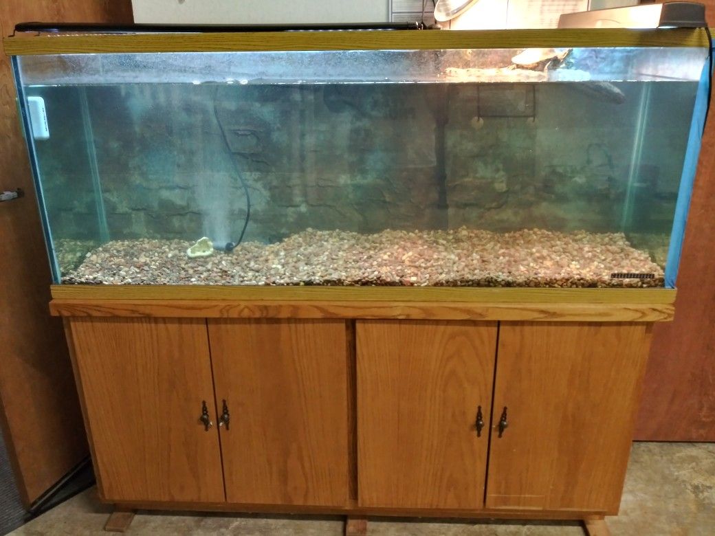110 gallon aquarium w cabinet stand FULL SETUP *Turtle also available*