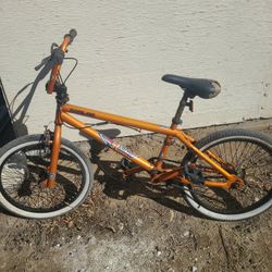20 Inch Bike
