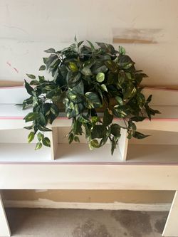Artificial Plant