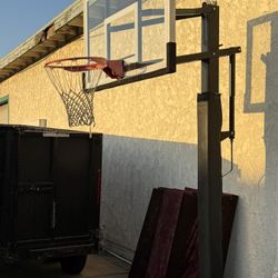 Professional Basketball Court