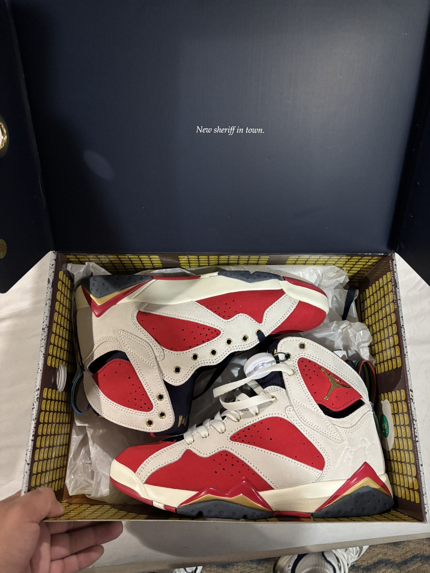 Air Jordan 7 Trophy Room