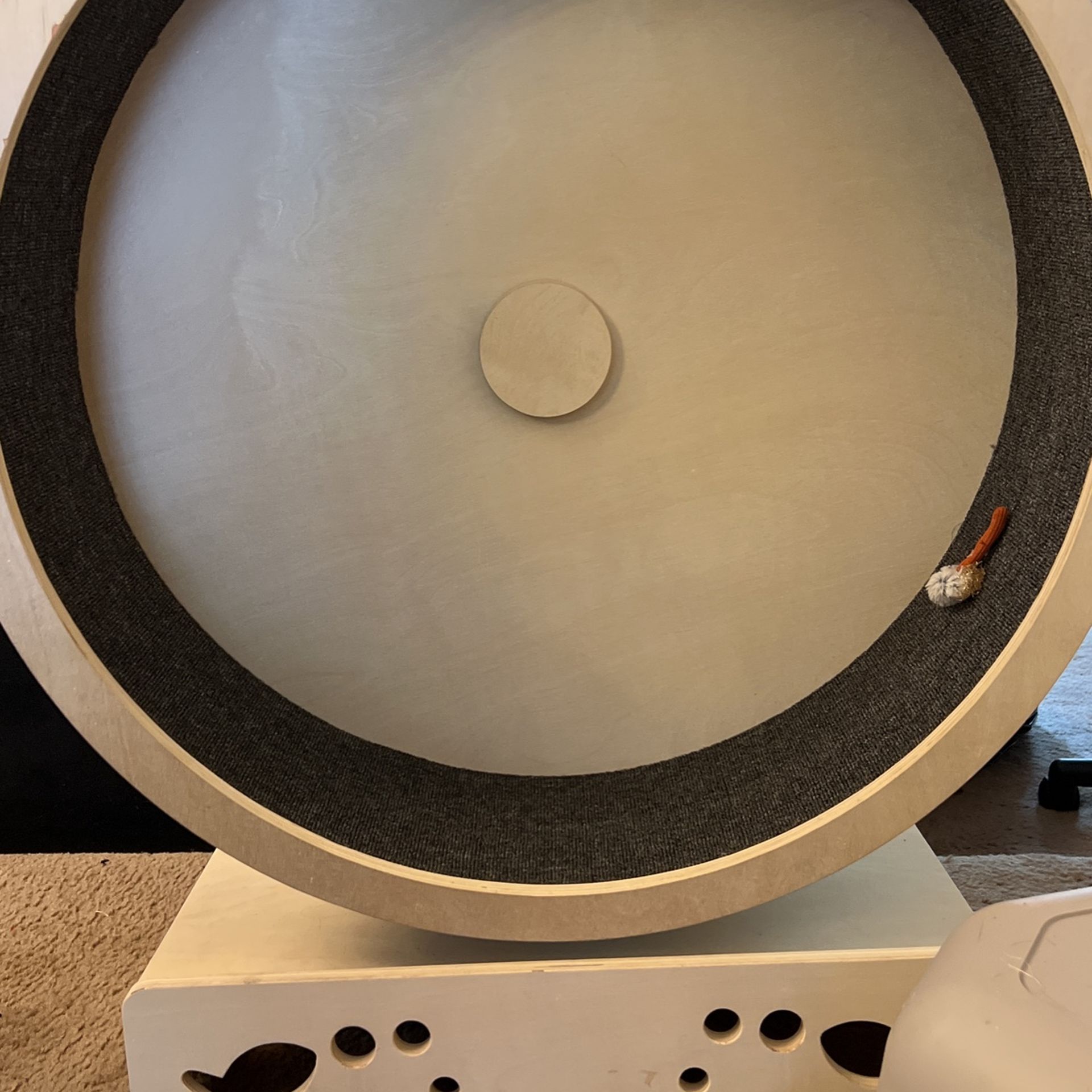 Cat Wheel And Litter Box Never Used