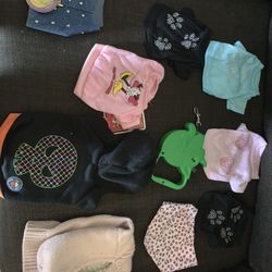 Small Dog clothing