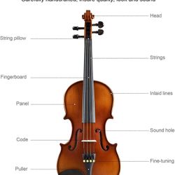 Starter Violin & Bow (New In Box)