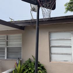 Basketball Nest  