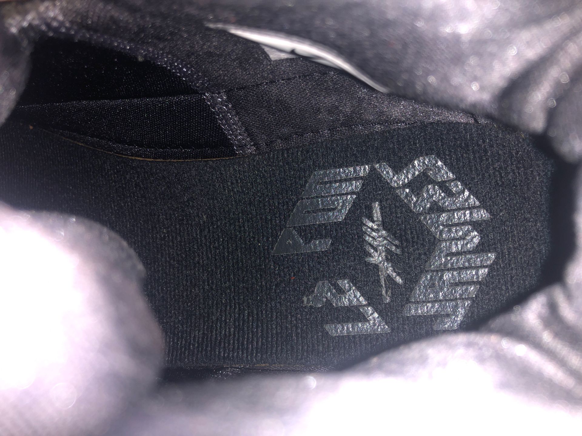 Lebron 13 “black lion”