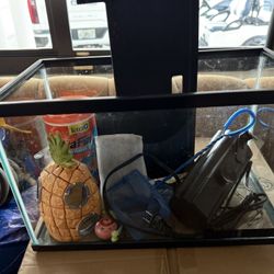 5 Gallon Tank 