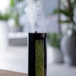 MossLab in Box – New, Unused Natural Moss Humidifier & Purifier
