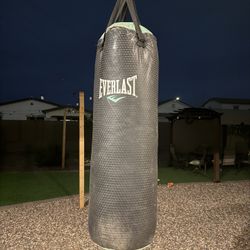 Punching Bag With Gloves