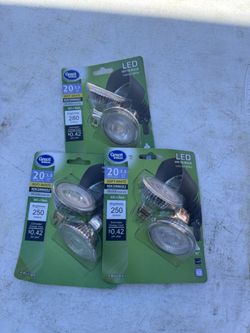 Landscape Lighting