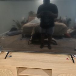 43" VIZIO TV and White Oak TV Stand With Sliding Doors