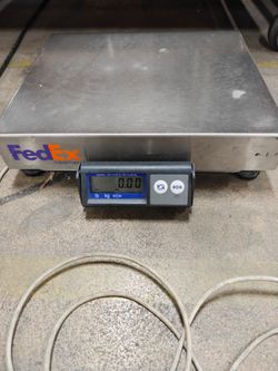 Scale