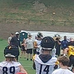 AUTHENTIC THREE RIVERS FIELD ARTIFICIAL TURF RELIC