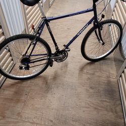 Blue Trek Mountain Bike
