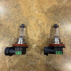 H11 Halogen Bulb Set