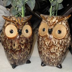 owl decor 