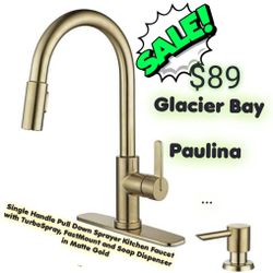 Glacier Bay
Paulina Single Handle Pull Down Sprayer Kitchen Faucet with TurboSpray, FastMount and Soap Dispenser in Matte Gold