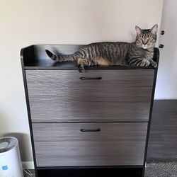 Shoe Storage Cabinet