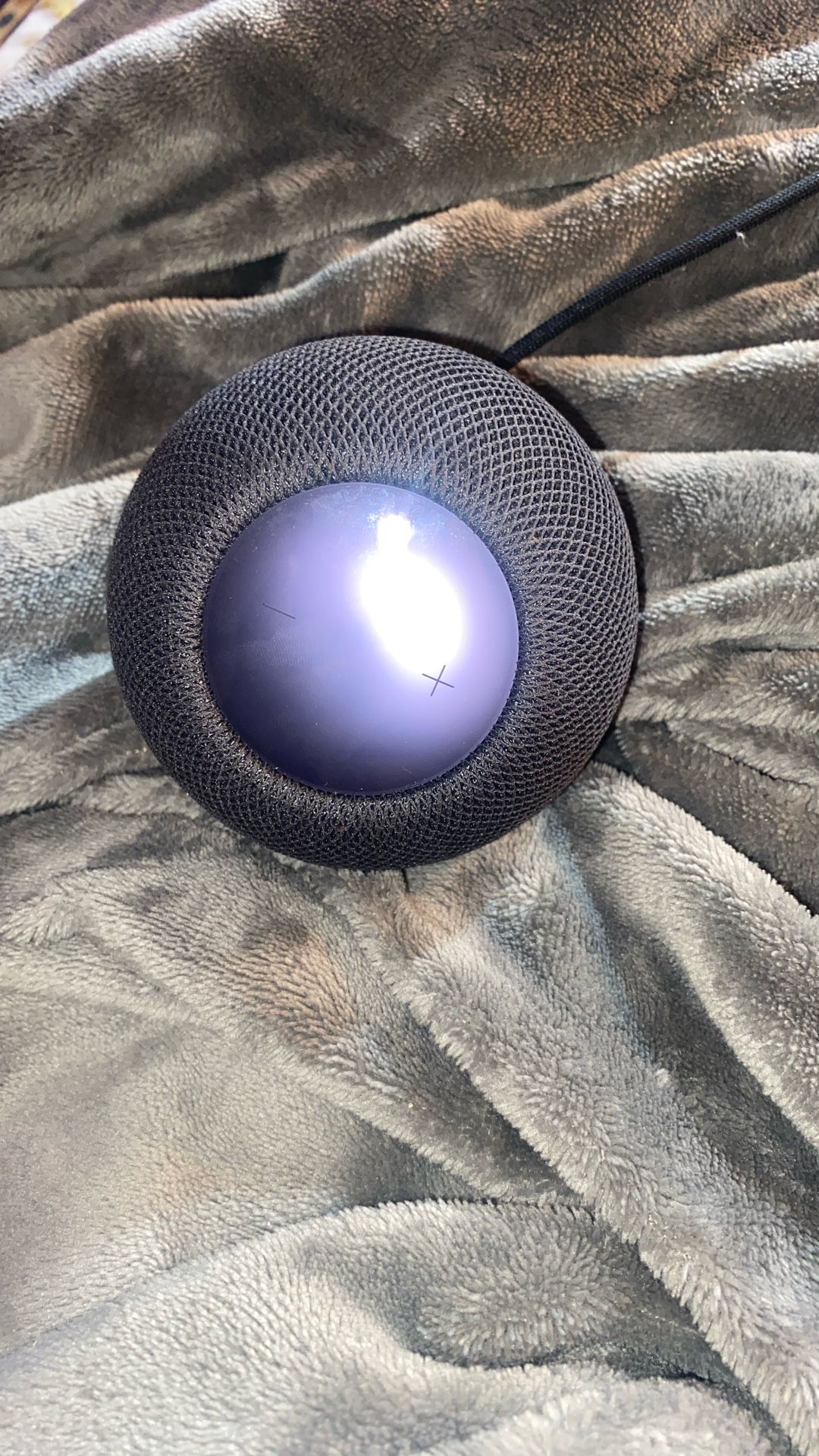 Apple Home Pod Mini Smart Speaker