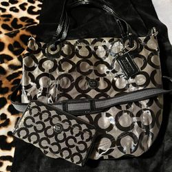 Coach Bag and wallet 