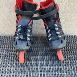 Roller Skates