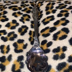 1847 Rogers Bros IS Spoon 