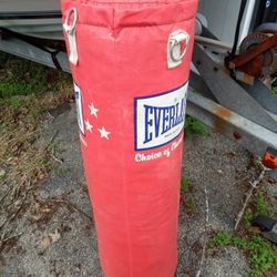 Everlast Punching Bag 