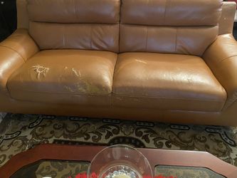 Sofas Cauches Color Moustaza