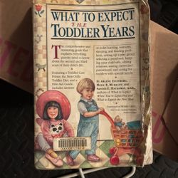 What To expect The Toddler Years