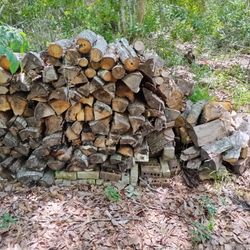 Oak Fire Wood