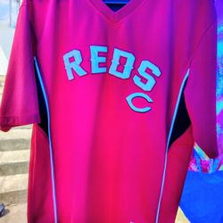 Red's True Fan Jersey