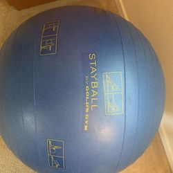 Large Exercise/stretch Ball