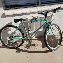 Vintage Bianchi Grizzly Mountain Bike