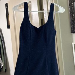 Small Sparkly Navy Blue Dress