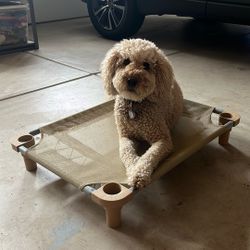 Raised/Cooling Dog Bed 