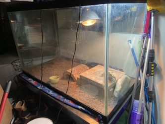 130 gallon Reptile/ Fish Tank 250OBO