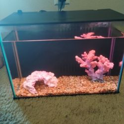 Fish Tank