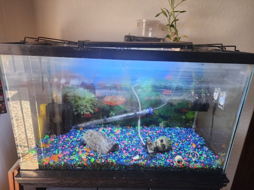 Fish Tank