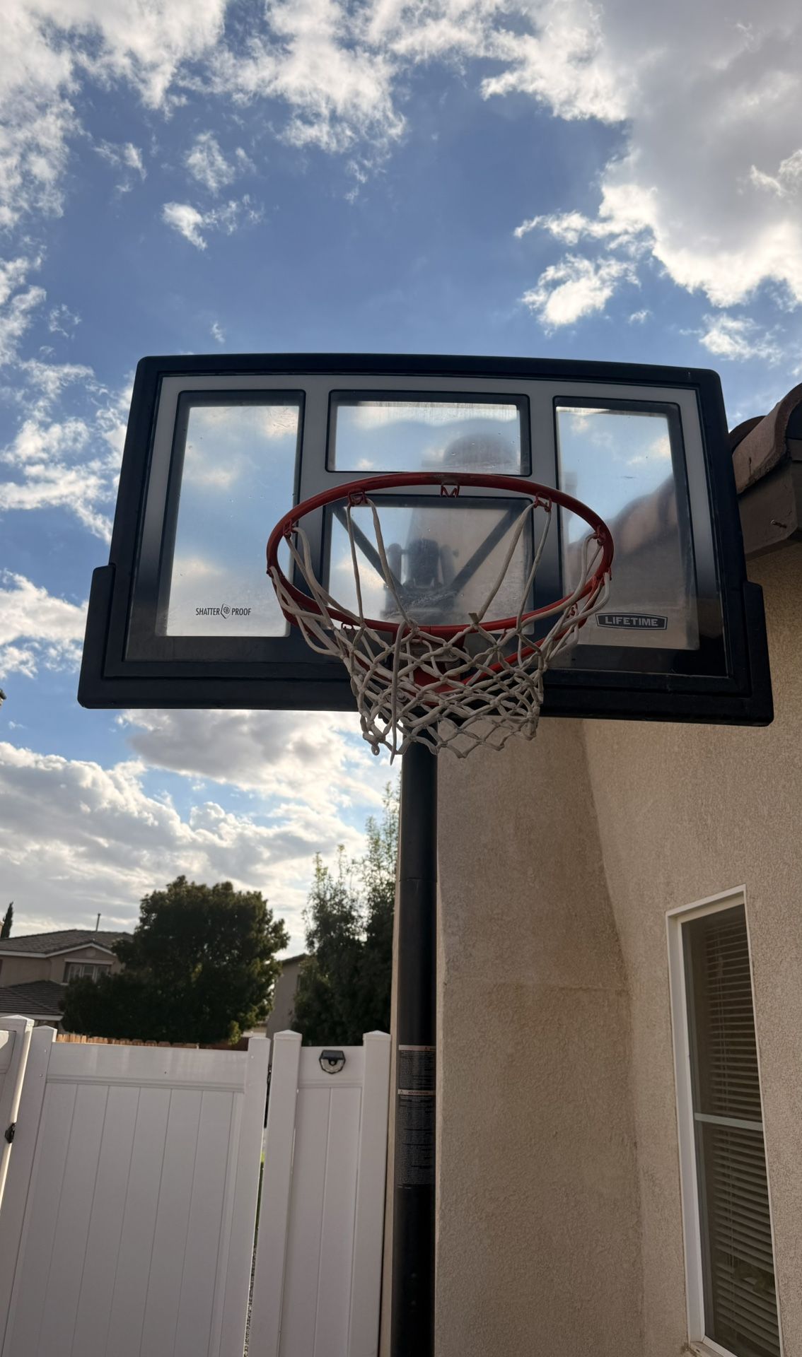 Lifetime Adjustable Portable Basketball Hoop