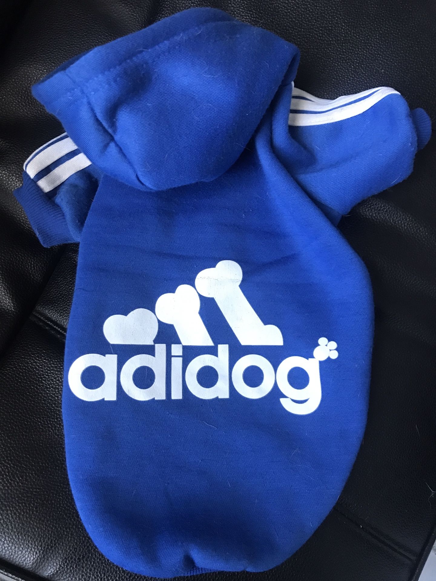 Dog Sweatshirt