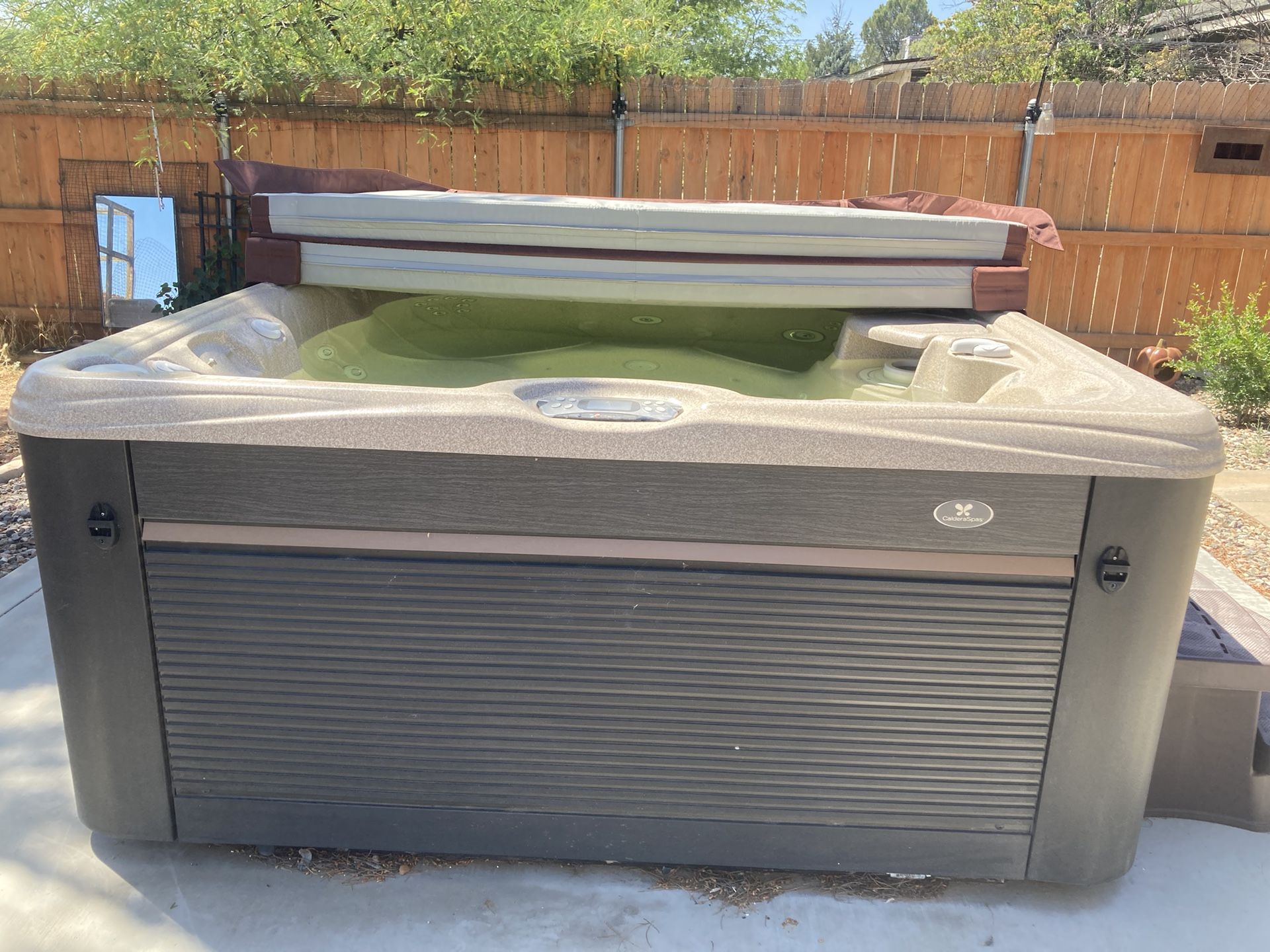 Hot Tub - 2021 Caldera