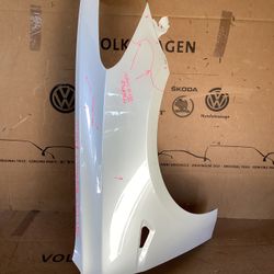2017 - 2023 TESLA MODEL 3 - Passenger Side Fender