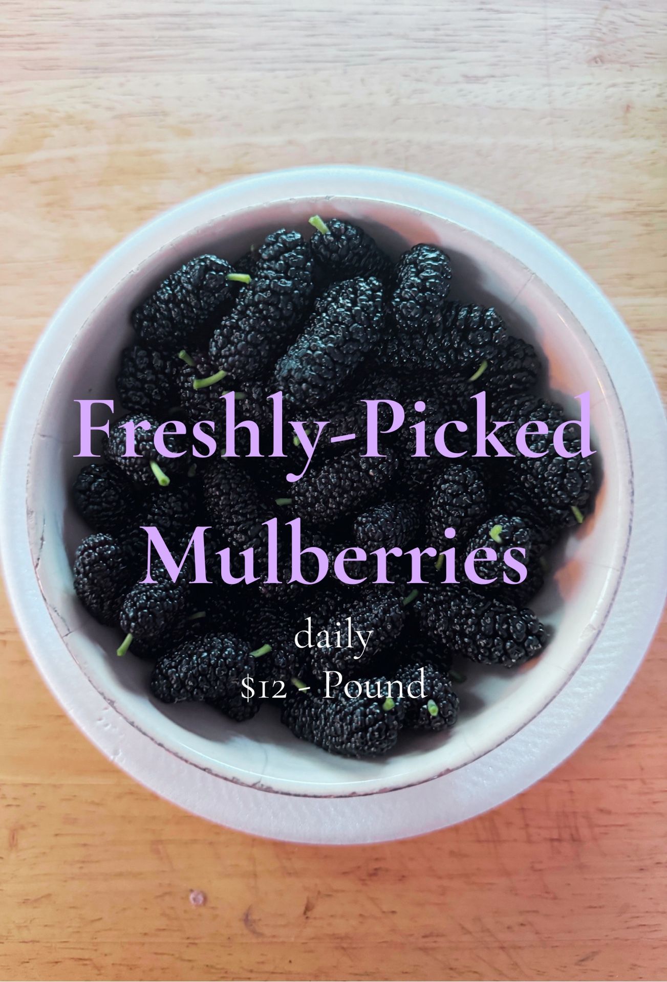 ❗️MULBERRIES ❗️- Freshly picked - Picked daily