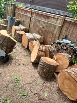Free firewood rounds available for immediate pickup.