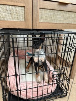 Puppy crate