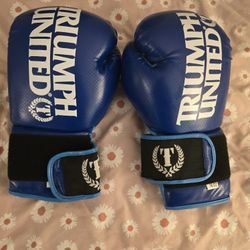 Boxing Gloves - Never Used (16 Oz Adult)