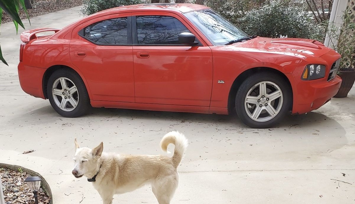 2010 Dodge Charger