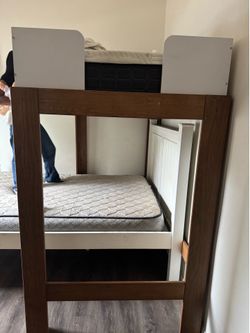Free twin bunk bed and full bed