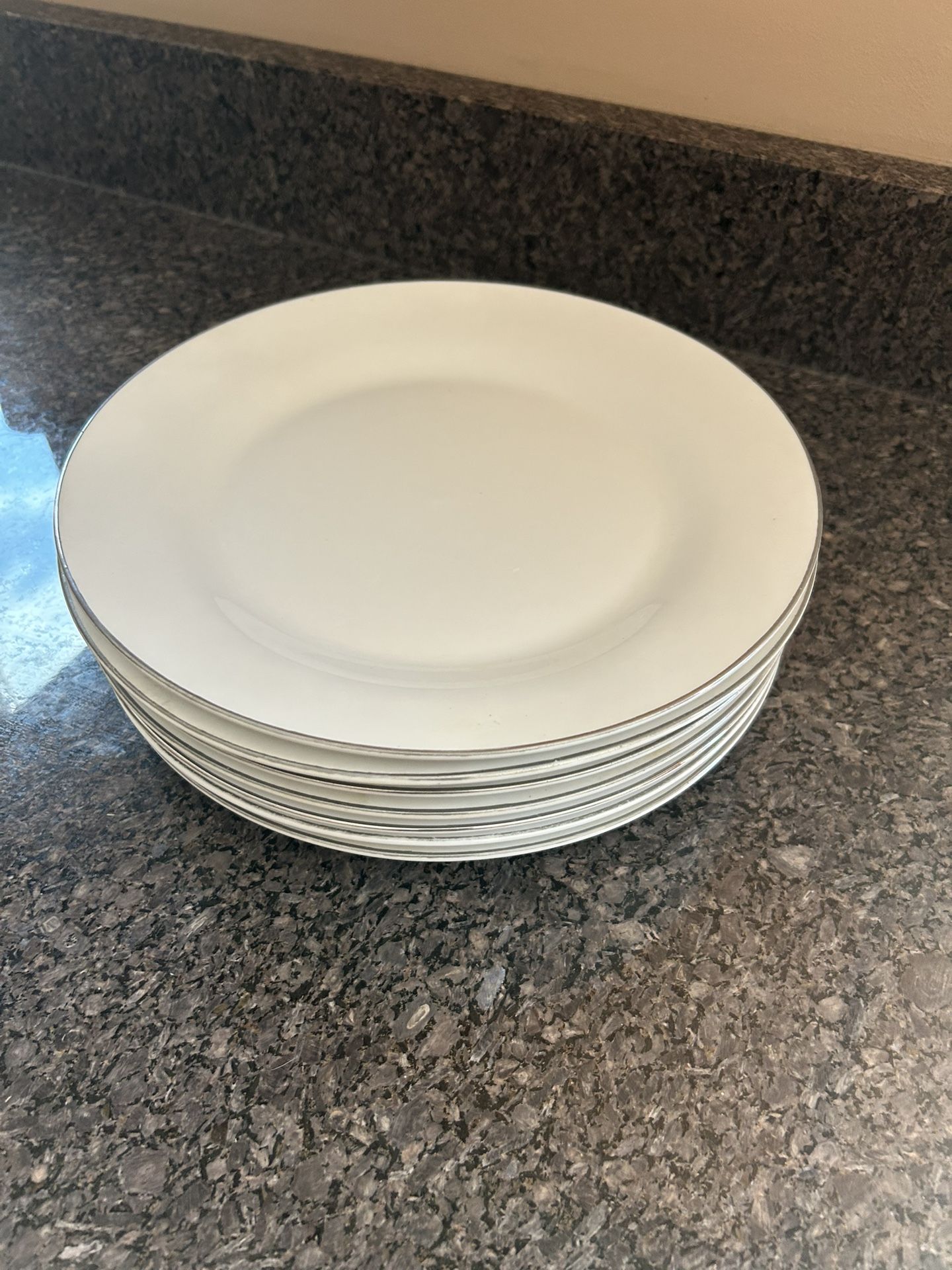 Silver Rimmed Dinner Plates